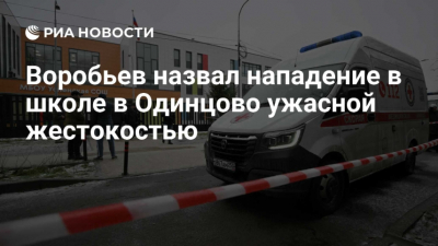 Россия выразила соболезнования Таджикистану после трагической гибели ребёнка в Одинцове