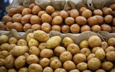 Причины, по которым Россия начала закупать картофель в Китае