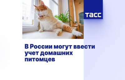 ТАСС: В России введут учет домашних питомцев